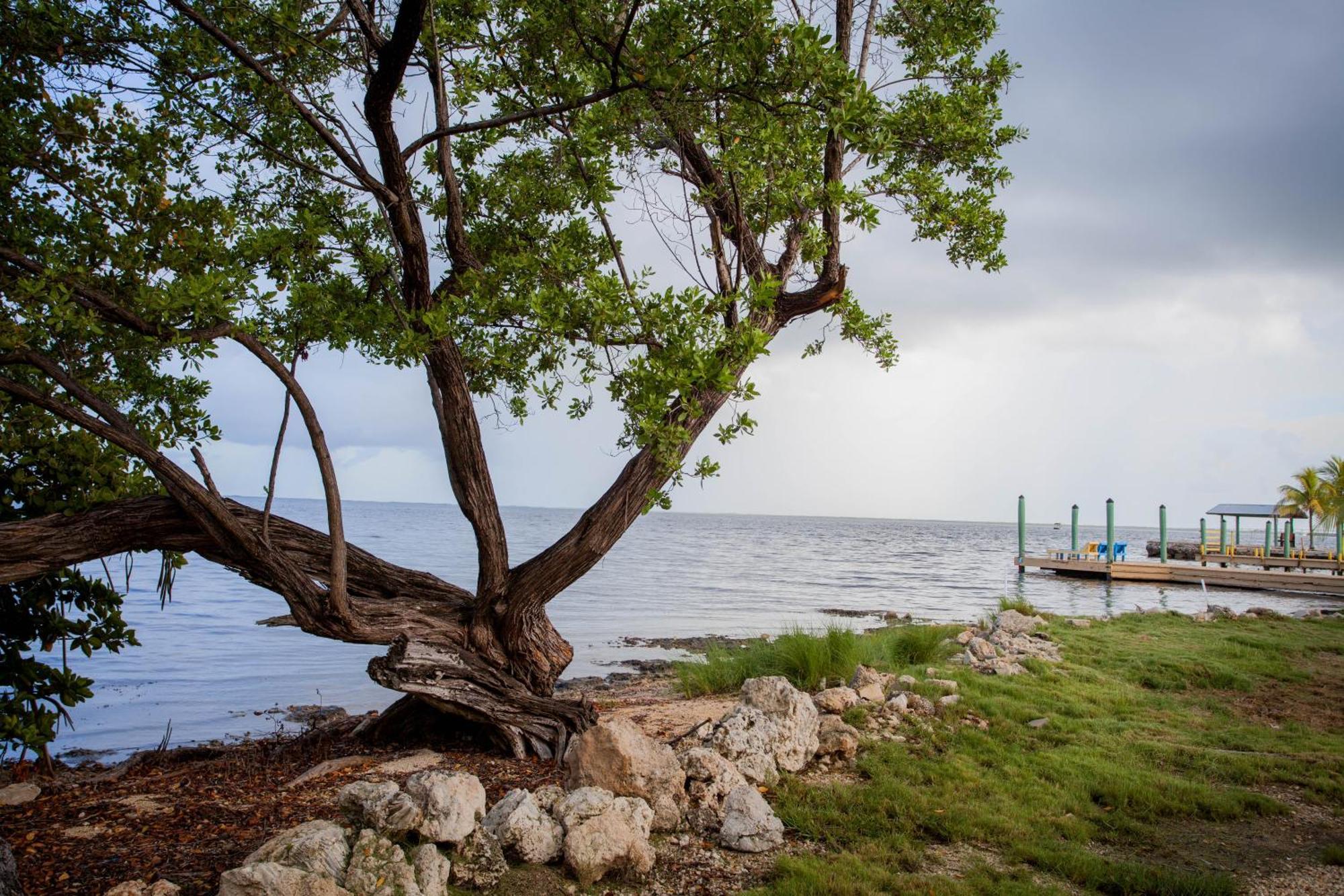Kings Kamp Hotel Key Largo Ngoại thất bức ảnh