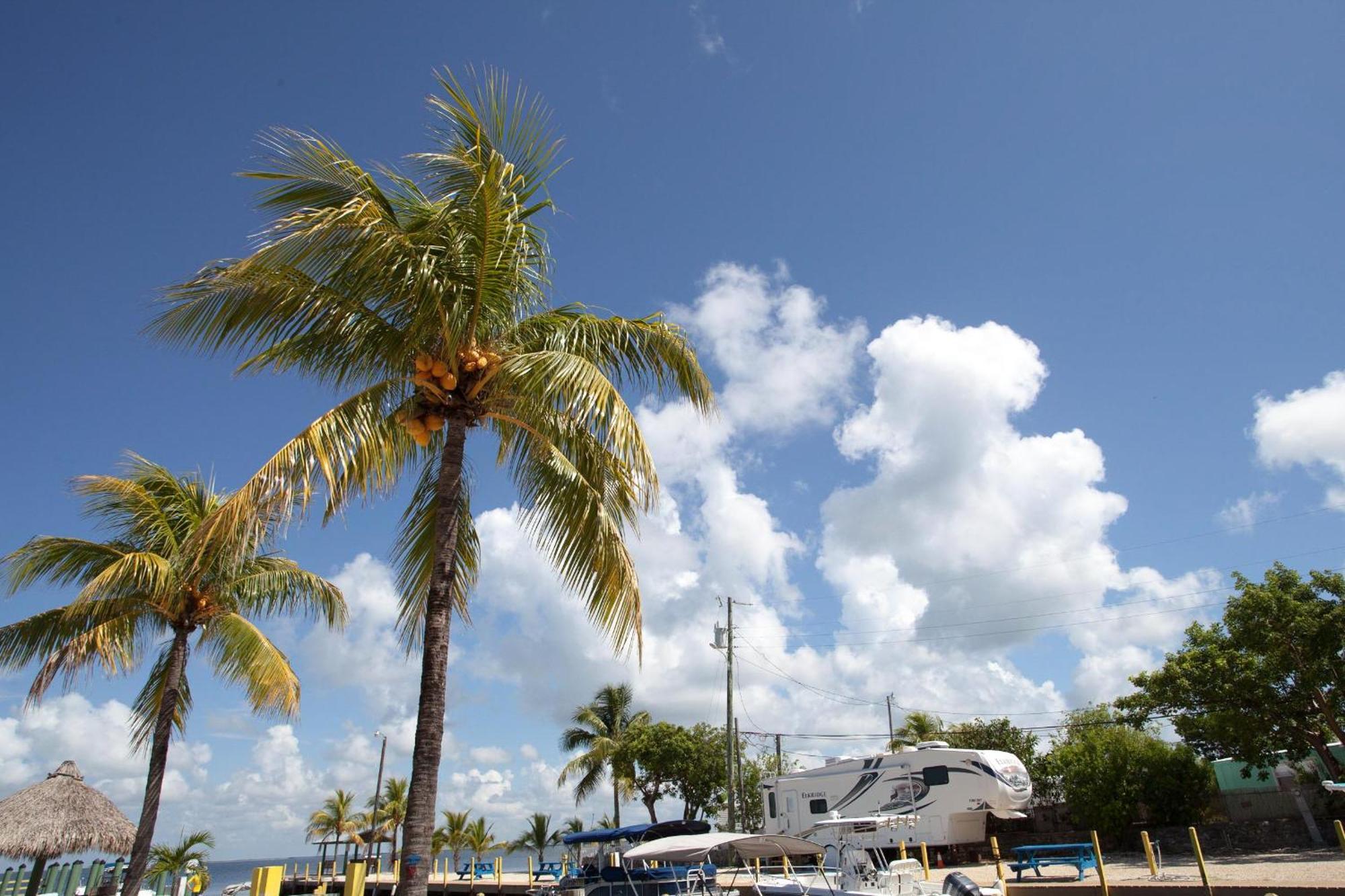Kings Kamp Hotel Key Largo Ngoại thất bức ảnh